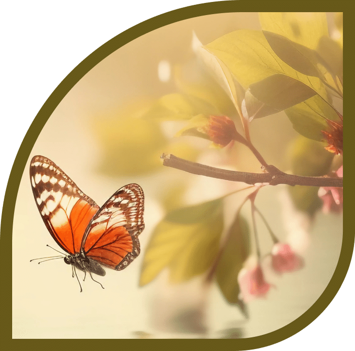 Pretty butterfly next to a flower blossom