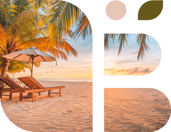 Beach chairs under palm tree on the beach